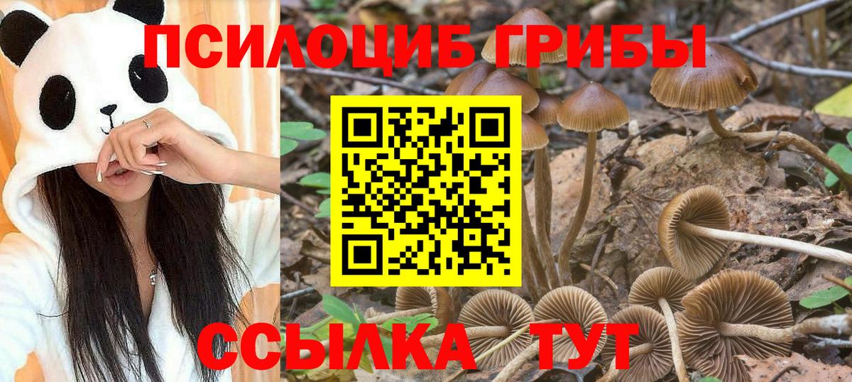 Галлюциногенные грибы MAGIC MUSHROOMS Апатиты